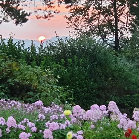 Bed & Breakfast Crown Roads